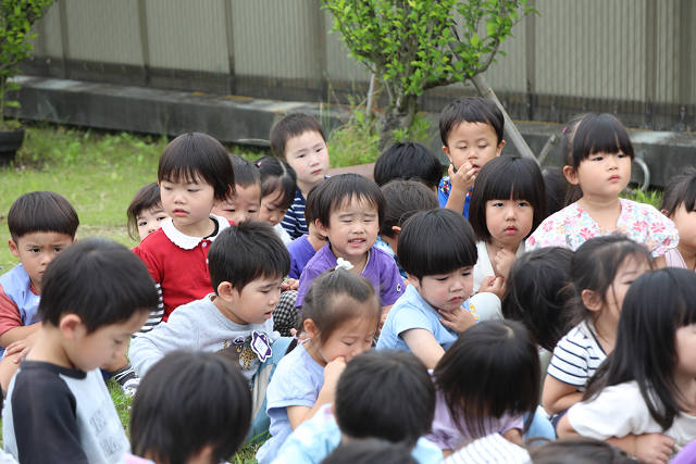 202506puluhiraki0303.jpg