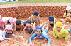 202506puluhiraki0331_thumb.png