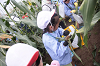 202507corn0071_thumb.png
