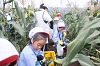 202507corn0072_thumb.png