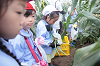 202507corn0073_thumb.png
