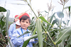 202507corn0086_thumb.png