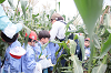 202507corn0088_thumb.png