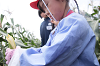 202507corn0095_thumb.png