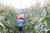 202507corn0099_thumb.png