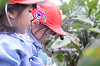 202507corn0103_thumb.png