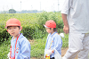 202507corn0106_thumb.png