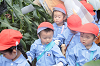 202507corn0107_thumb.png