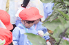 202507corn0108_thumb.png