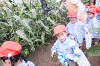 202507corn0109_thumb.png