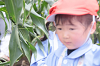 202507corn0117_thumb.png