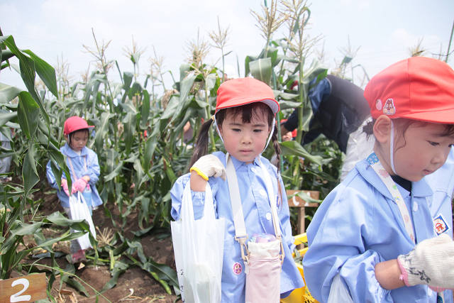 202507corn0118.jpg