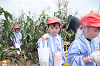 202507corn0118_thumb.png