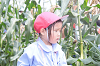 202507corn0119_thumb.png