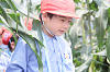 202507corn0120_thumb.png