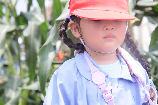 202507corn0121.jpg