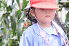 202507corn0121_thumb.png