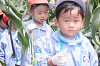 202507corn0122_thumb.png