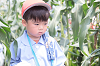 202507corn0126_thumb.png