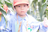 202507corn0127_thumb.png