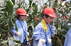 202507corn0128_thumb.png