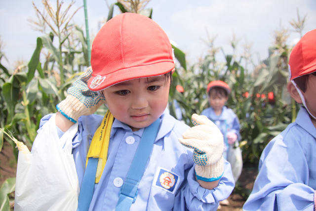 202507corn0129.jpg