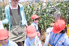 202507corn0130_thumb.png