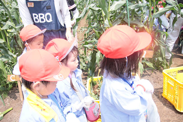 202507corn0131.jpg