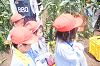 202507corn0131_thumb.png
