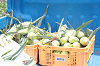 202507corn0132_thumb.png