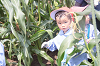 202507corn0133_thumb.png