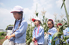 202507corn0137_thumb.png