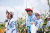 202507corn0138_thumb.png