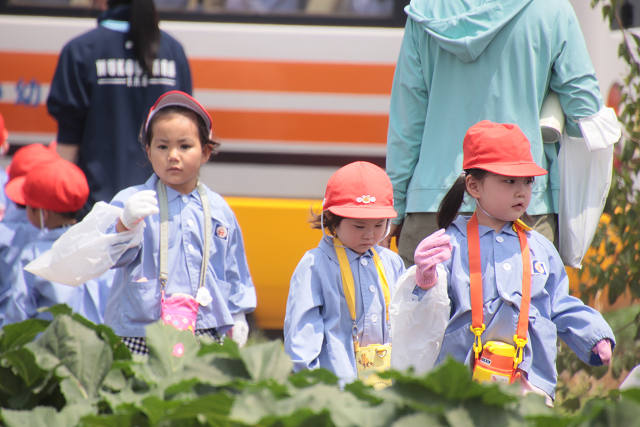 202507corn0147.jpg