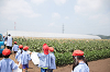 202507corn0177_thumb.png