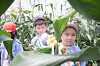202507corn0183_thumb.png