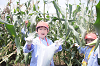 202507corn0186_thumb.png