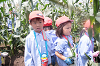 202507corn0189_thumb.png