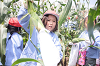 202507corn0193_thumb.png