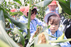 202507corn0205_thumb.png
