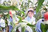 202507corn0208_thumb.png