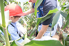 202507corn0210_thumb.png