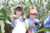 202507corn0216_thumb.png