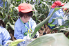 202507corn0219_thumb.png