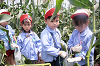 202507corn0229_thumb.png