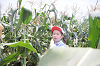202507corn0230_thumb.png