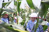 202507corn0232_thumb.png