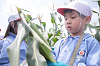 202507corn0235_thumb.png