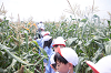 202507corn0236_thumb.png