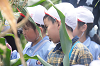 202507corn0242_thumb.png